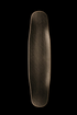 Rocket - Linum 38.5" - Enjoy 10% off upon purchase of a board now or before!